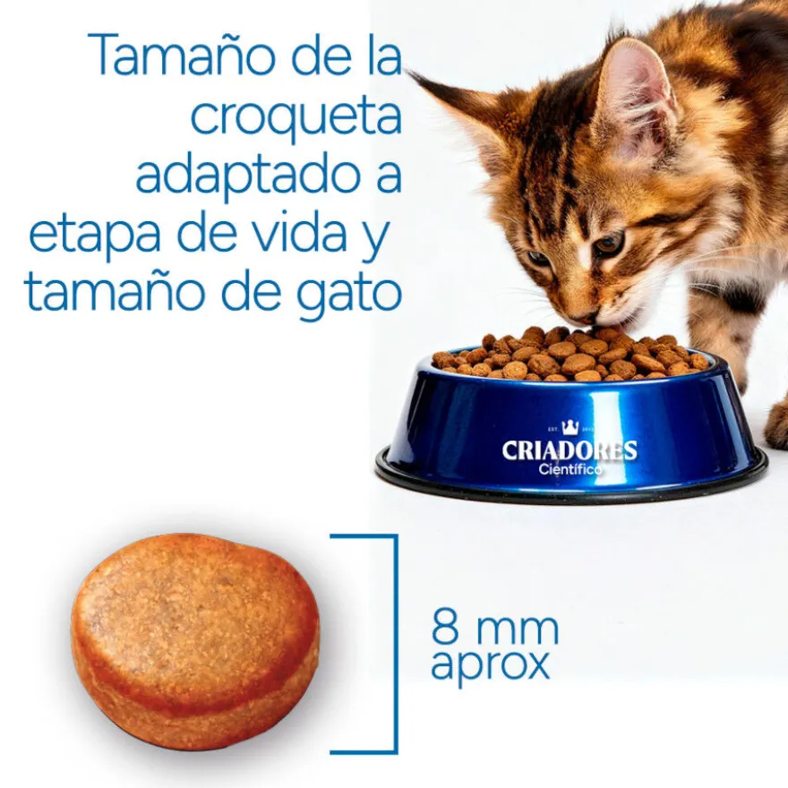 Criadores Científico Adulto Esterilizado Pollo pienso para gatos