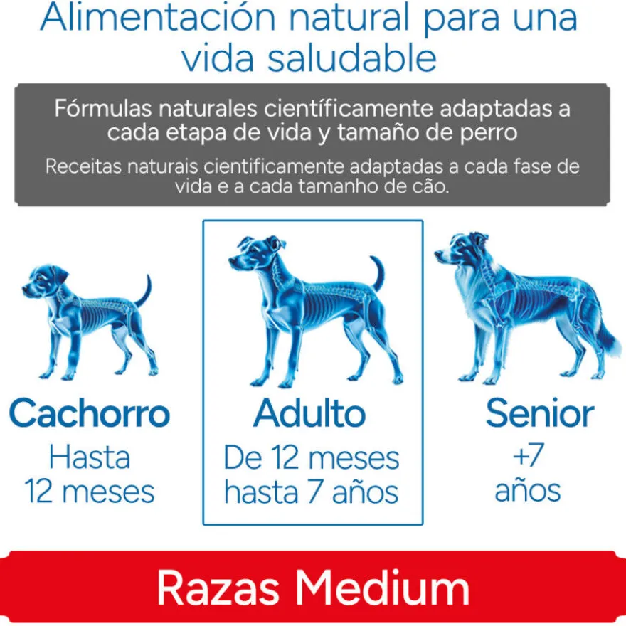 Criadores Científico Adulto Medium Pienso Pollo para perros