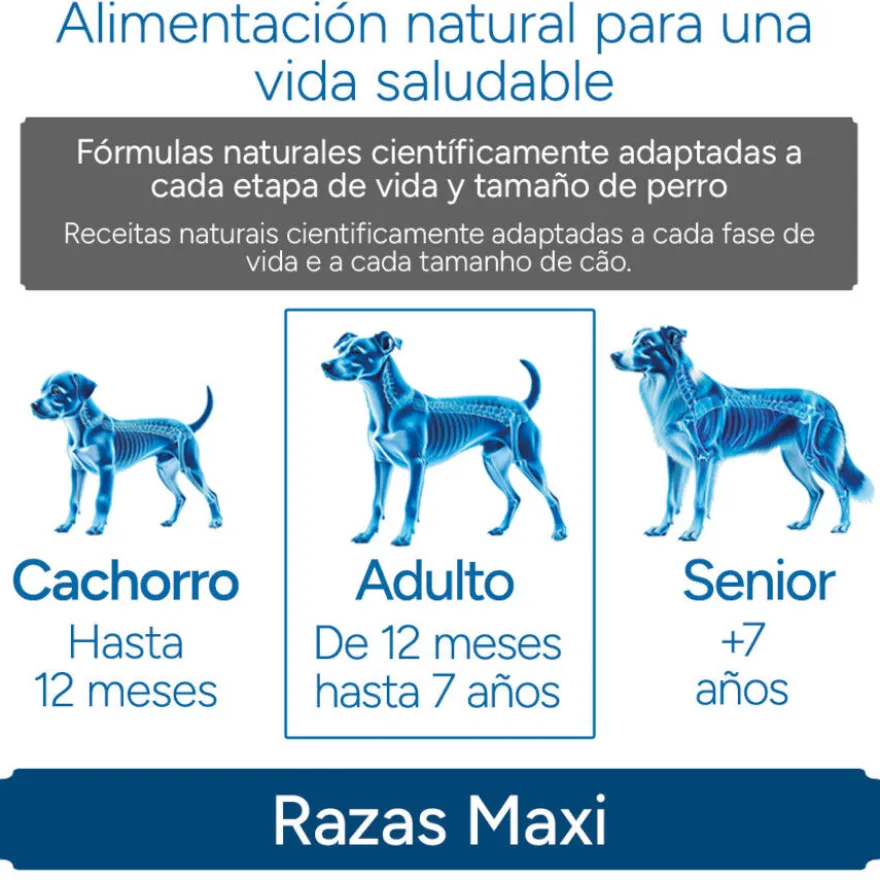 Criadores Científico Adulto Maxi Pienso Pollo para perros