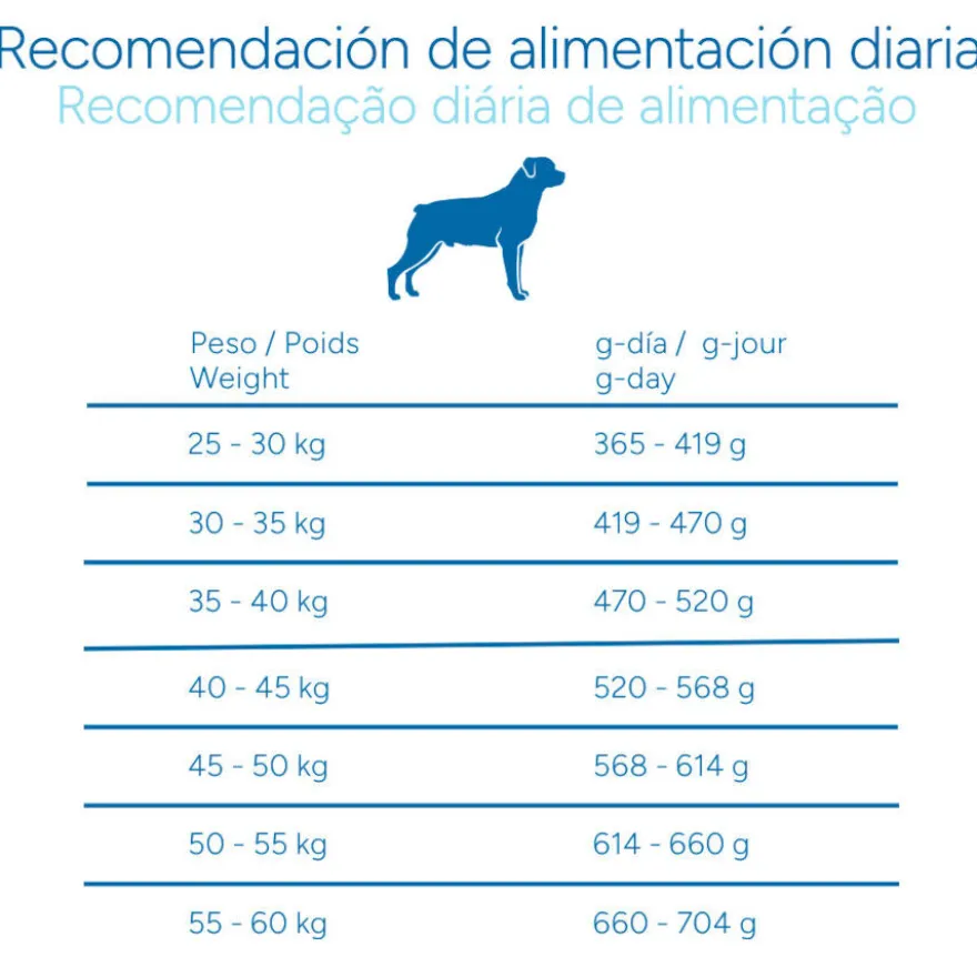 Criadores Científico Adulto Maxi Pienso Pollo para perros