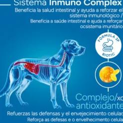 Criadores Científico Adulto Maxi Pienso Pollo para perros