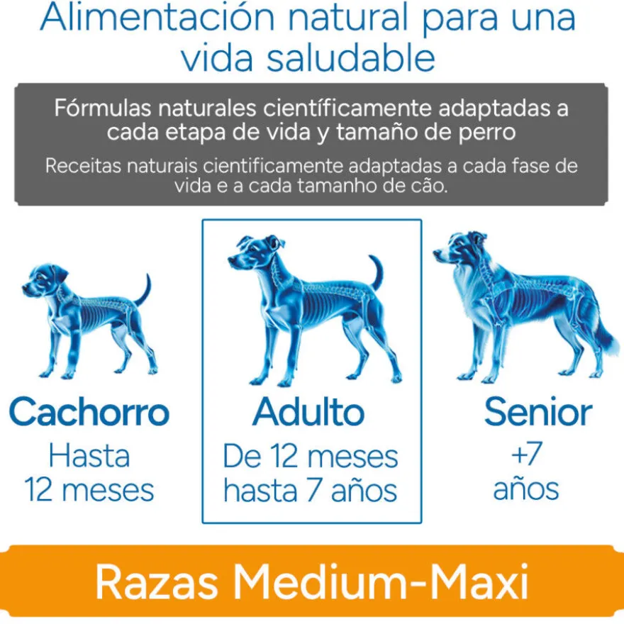Criadores Científico Light -46% contenido graso Adulto Medium-Maxi Pienso Pollo para perros
