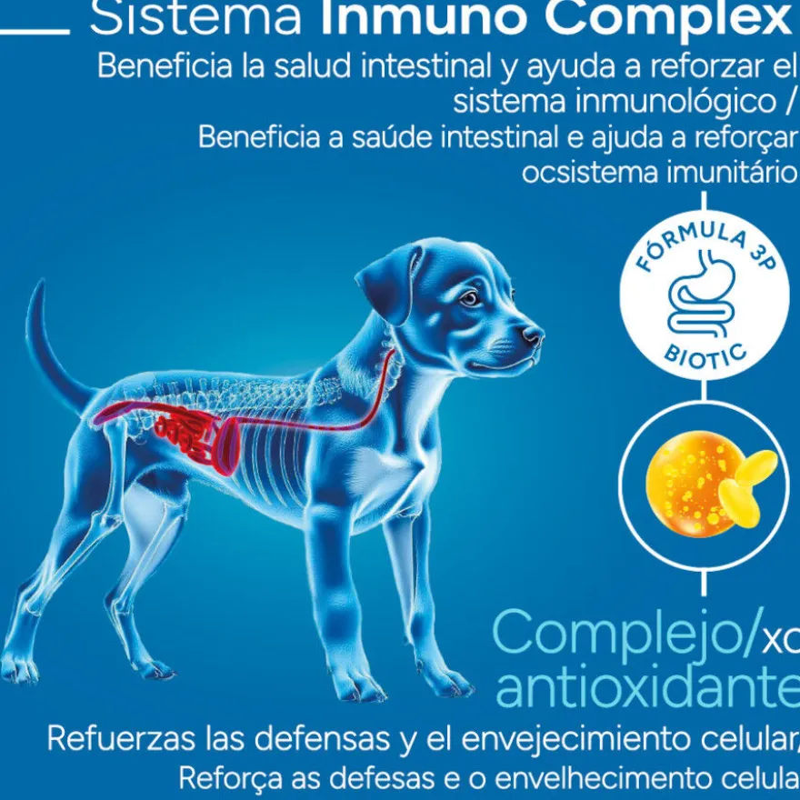 Criadores Científico Mini Pienso Pollo para cachorros