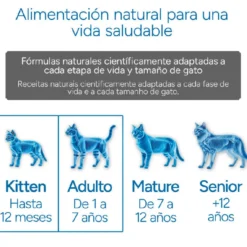 Criadores Científico Mother&BabyCat pollo pienso para gatos