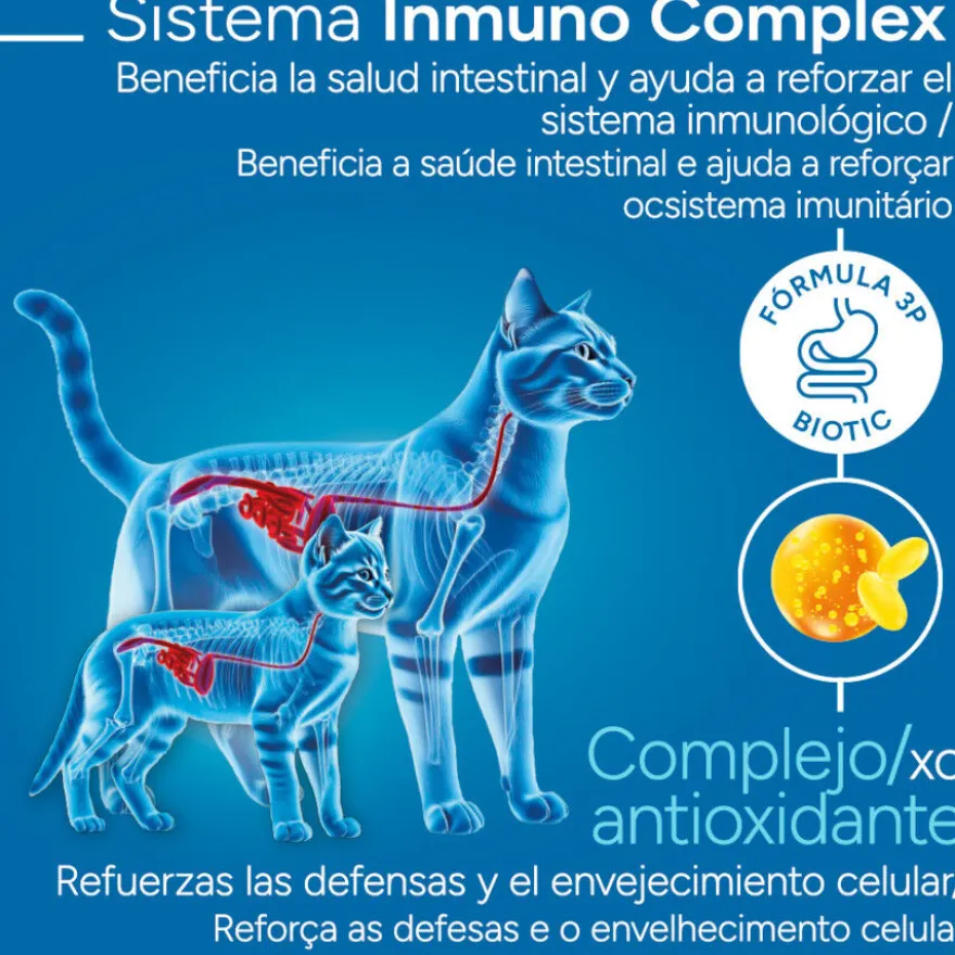 Criadores Científico Mother&BabyCat pollo pienso para gatos