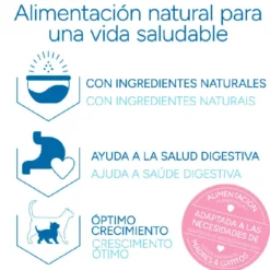 Criadores Científico Mother&BabyCat pollo pienso para gatos