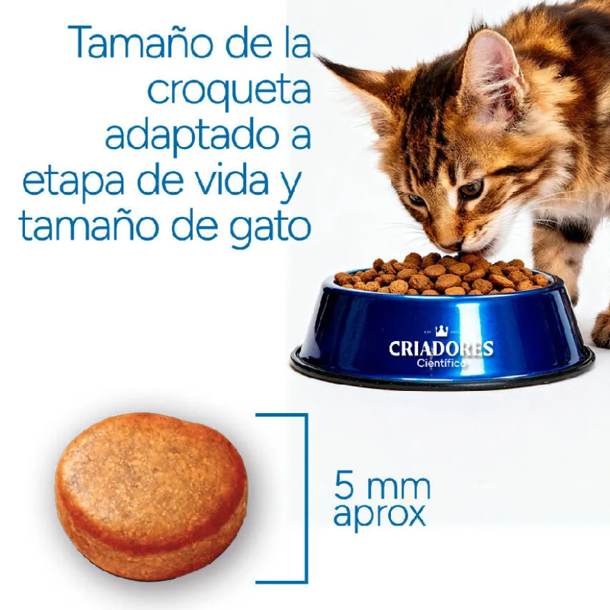 Criadores Científico Mother&BabyCat pollo pienso para gatos