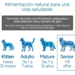 Criadores Científico Senior +12 Pescado pienso para gatos