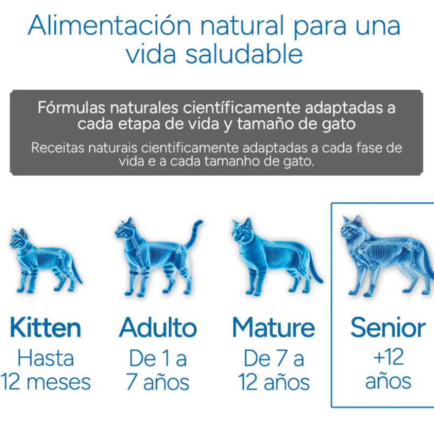Criadores Científico Senior +12 Pescado pienso para gatos