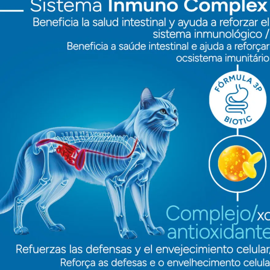 Criadores Científico Senior +12 Pescado pienso para gatos