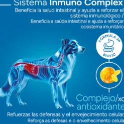Criadores Científico Senior Pienso para perros de razas medianas y grandes