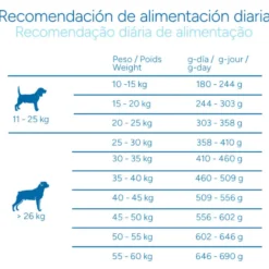 Criadores Científico Sensitive Adulto Medium-Maxi Pienso Salmón para perros