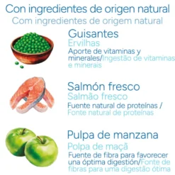 Criadores Científico Sensitive Adulto Medium-Maxi Pienso Salmón para perros