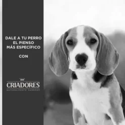 Criadores Dietetic Hipoalergénico Adulto pienso para perros