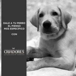 Criadores Pollo y Arroz pienso para cachorros de razas grandes