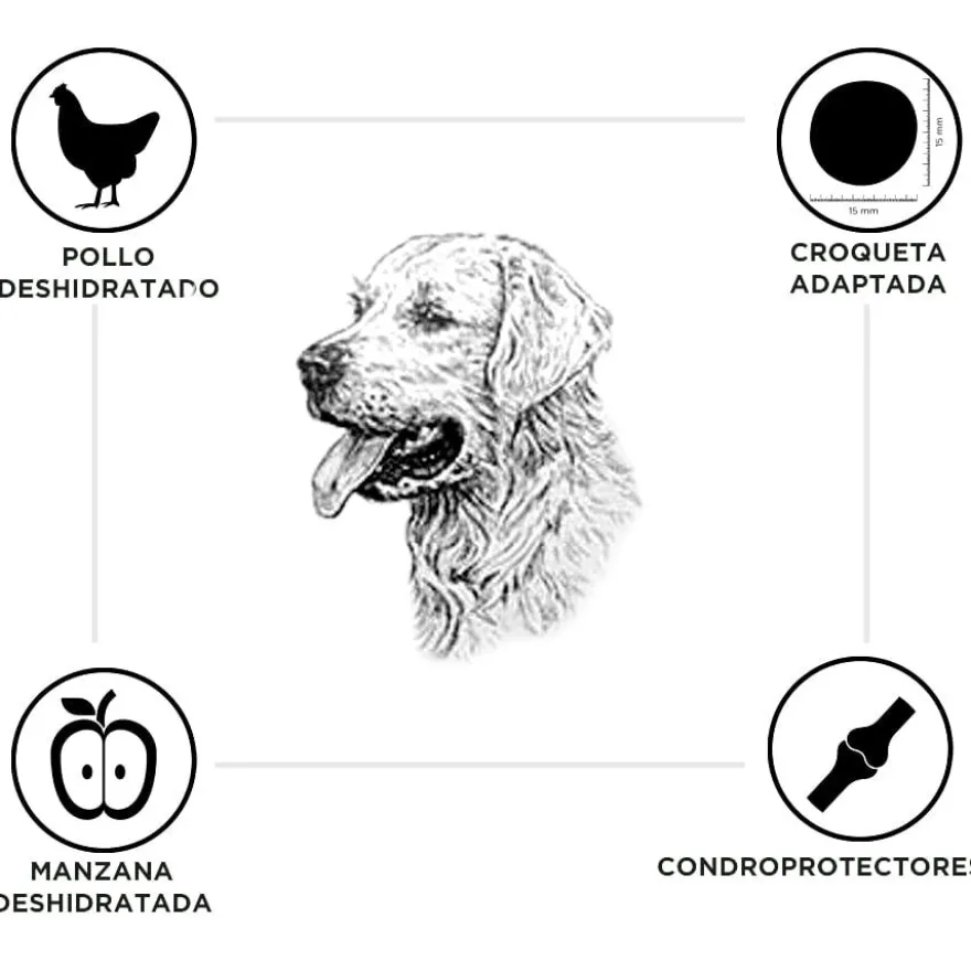 Criadores Senior Pollo y Arroz pienso para perros de razas medianas y grandes