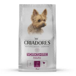 Criadores Yorkshire Terrier pienso para perros