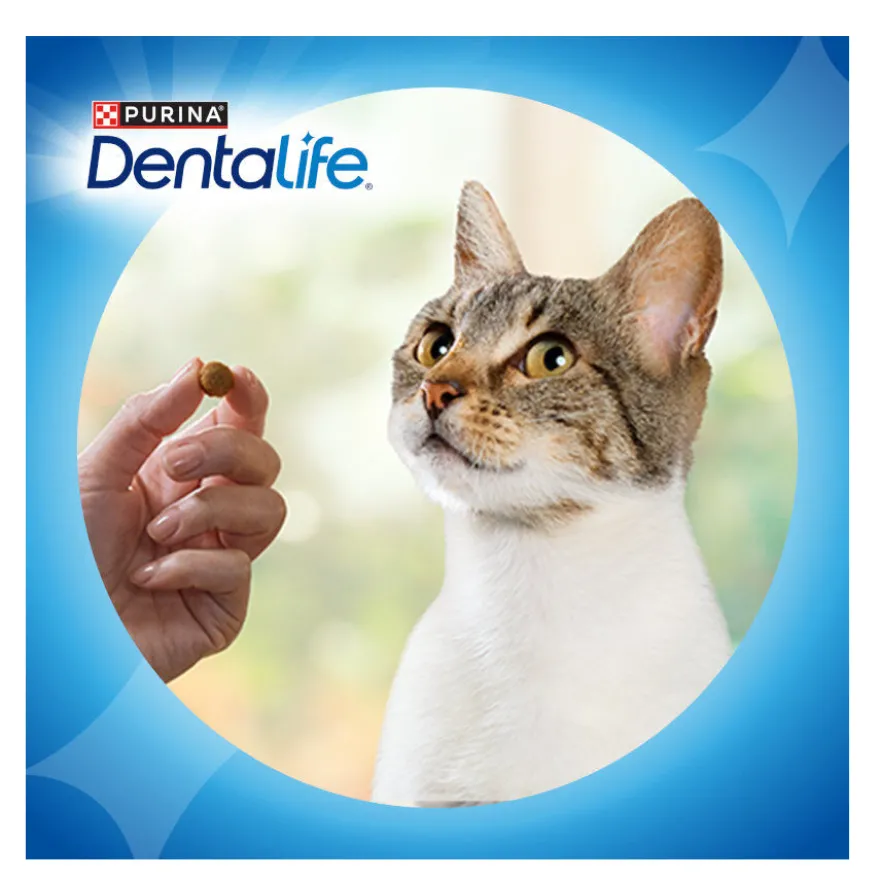 Dentalife Snack Dentales Pollo para gatos