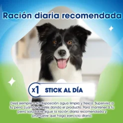 Dentalife Snacks Dentales Large ActivFresh para perros
