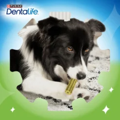 Dentalife Snacks Dentales Large ActivFresh para perros