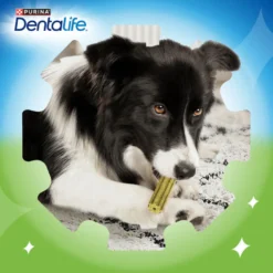 Dentalife Snacks Dentales Medium ActivFresh para perros