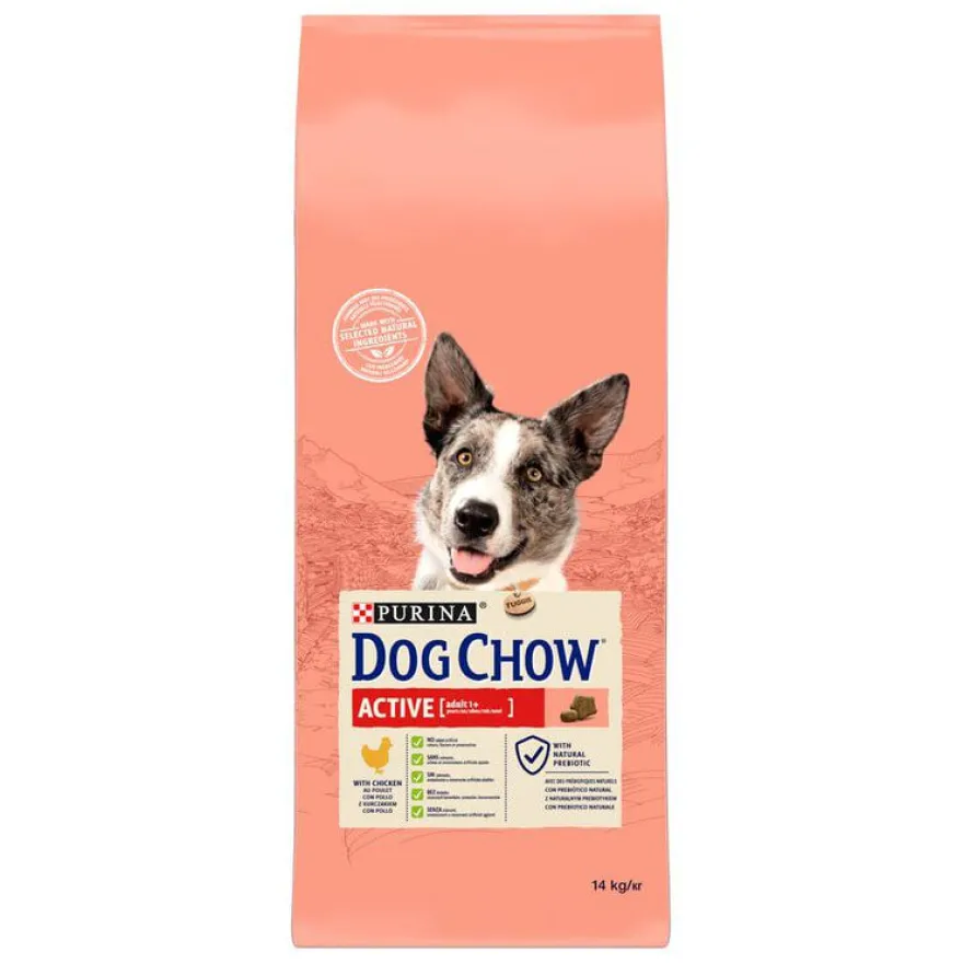 Dog Chow Active Pollo pienso para perros