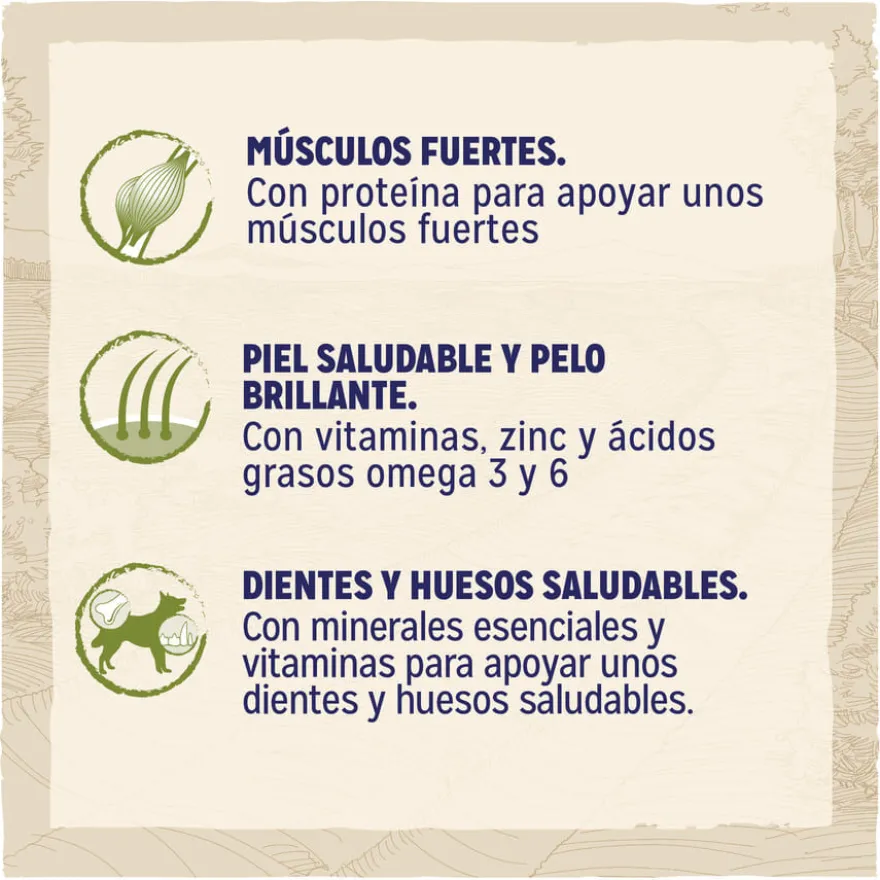 Dog Chow Adult Pollo pienso para perros