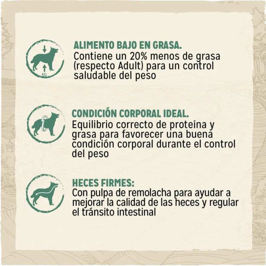 Dog Chow Light Pavo pienso para perros