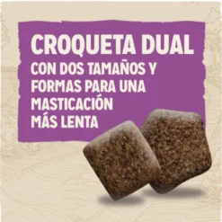 Dog Chow Mature Senior Pollo pienso para perros