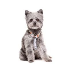 Dukier Arnés Clásico Estampado Tattoo para perros