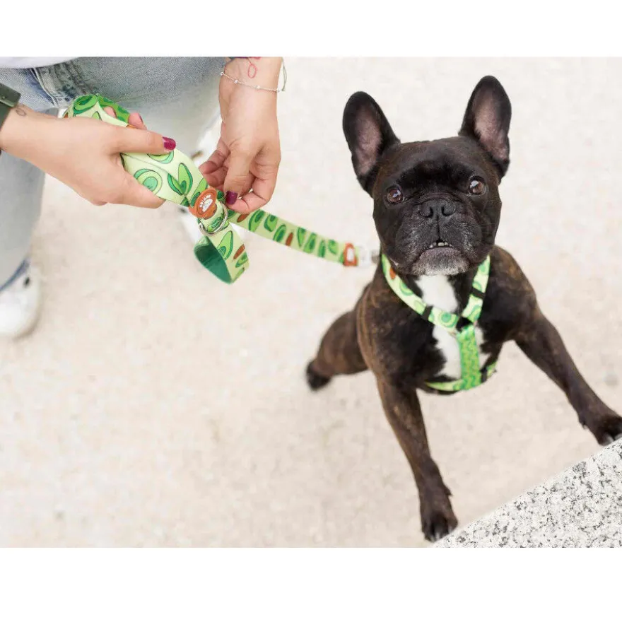 Dukier Arnés Clásico Estampado Aguacate para perros
