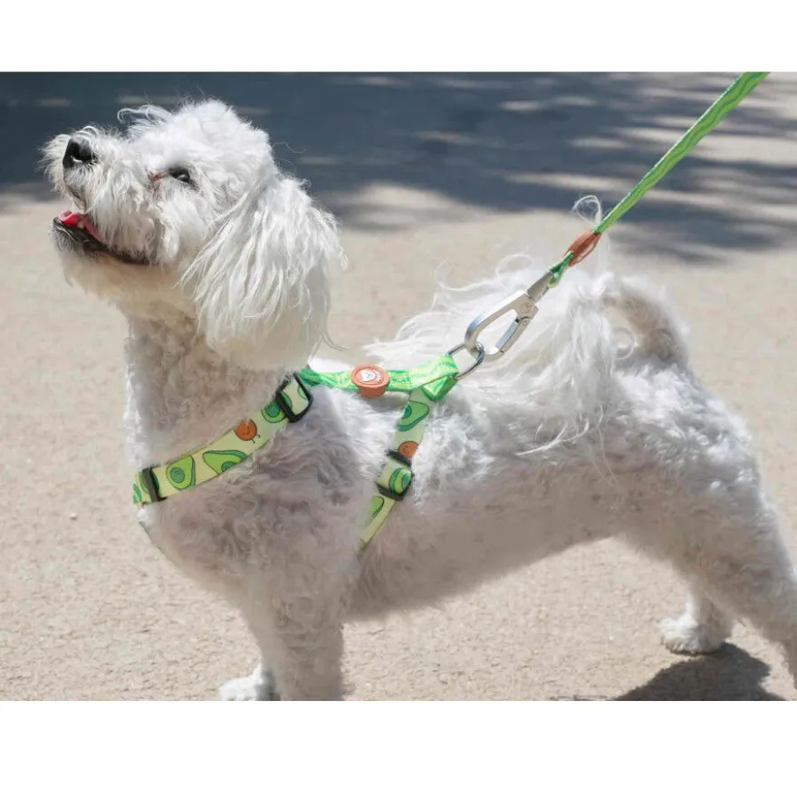 Dukier Arnés Clásico Estampado Aguacate para perros