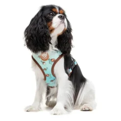 Dukier Arnés Reversible Estampado Tortugas para perros