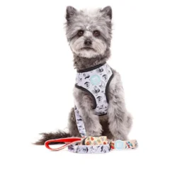 Dukier Arnés Reversible Estampado Tattoo para perros