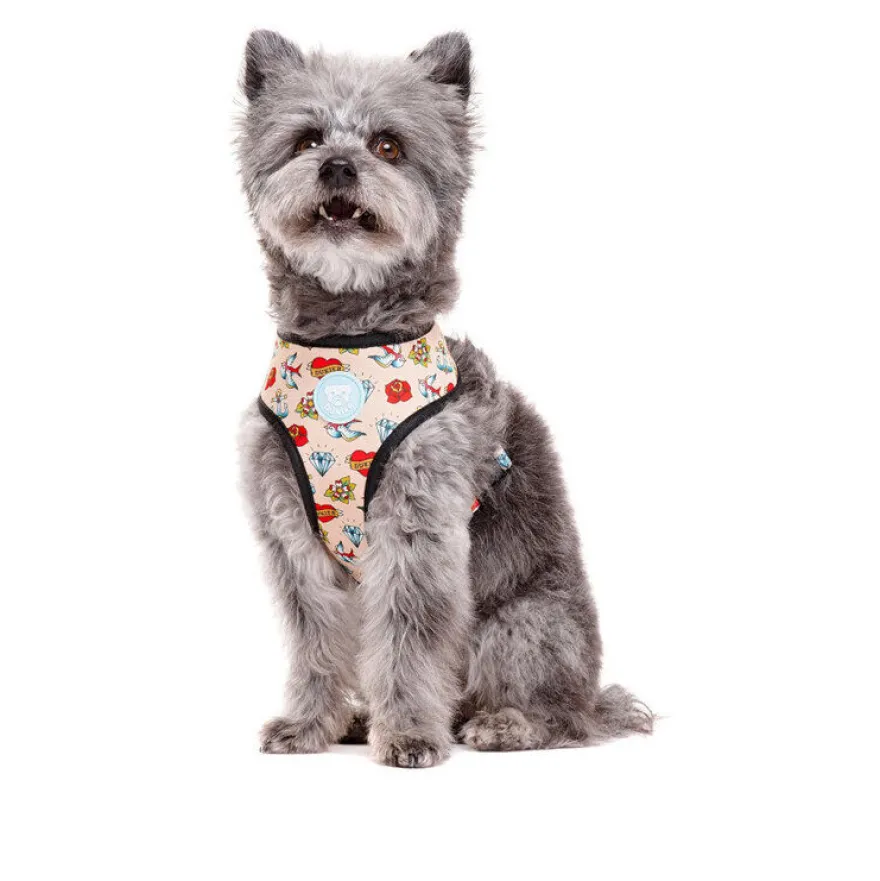 Dukier Arnés Reversible Estampado Tattoo para perros