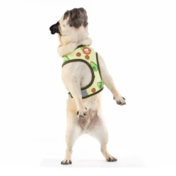 Dukier Avocado Arnés Reversible Estampado Aguacate para perros