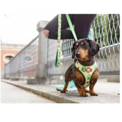 Dukier Avocado Arnés Reversible Estampado Aguacate para perros