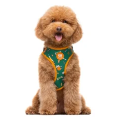 Dukier Beer Arnés Ajustable para perros