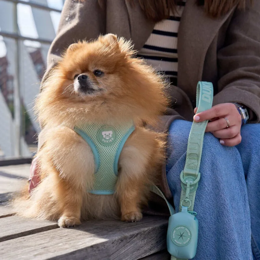 Dukier Body Essential Color Verde para perros