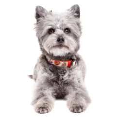 Dukier Collar Estampado Tattoo para perros