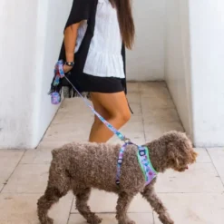 Dukier Correa Estampado Alien para perros
