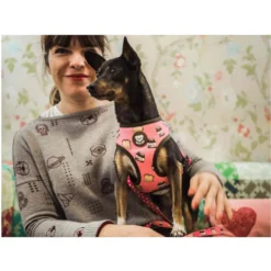 Dukier Dogtella Arnés Reversible Estampado Nutella para perros