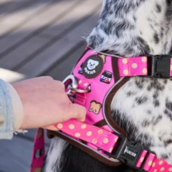 Dukier Dogtella Arnés trail para perros