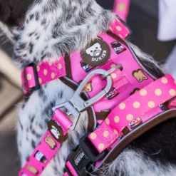 Dukier Dogtella Arnés trail para perros