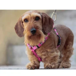 Dukier Dogtella Clásico Arnés Estampado Nutella para perros