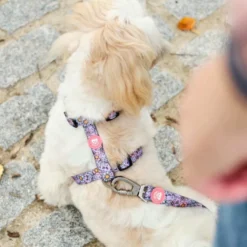 Dukier Flower Power Arnés Clásico para perros
