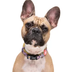 Dukier Flower Power collar para perros