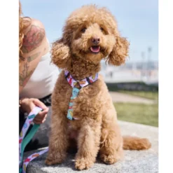 Dukier Gummy Bears Arnés Clásico para perros