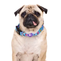 Dukier Mermaid collar para perros