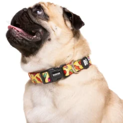 Dukier Sweets collar para perros